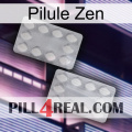 Zen Pill 17